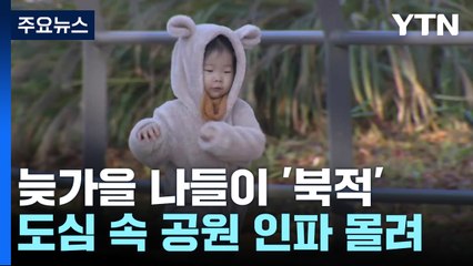"늦가을 정취 즐겨요"...도심 대공원 나들이객 북적 / YTN