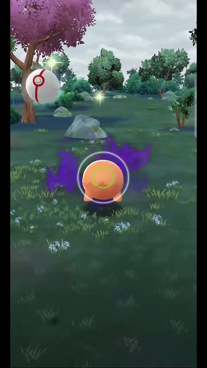 Pokémon GO-Shadow Trapinch