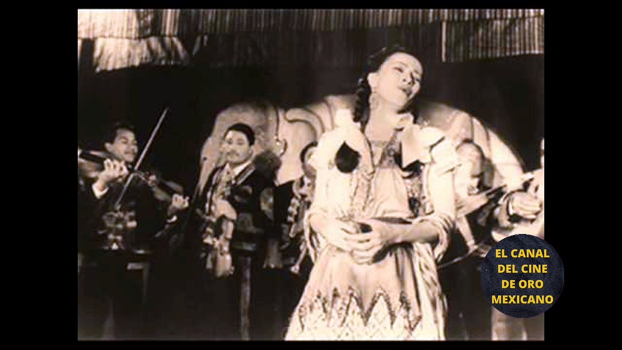 01860CCM 6 famosos de la época de oro del cine mexicano que terminaron con su vida
