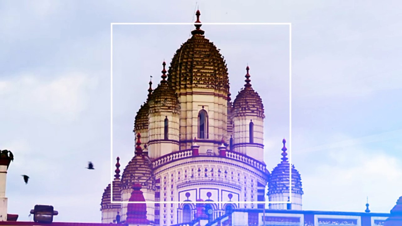 DID YOU KNOW CAT TEMPLE IS THERE IN ...!! WHAT SPECIALITY AND WHERE IT IS !?