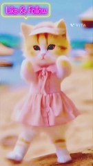 😂 Hilarious Cat Videos to Brighten Your Day | Perfect for Cat Lovers