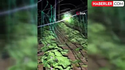 Antalya'da Hortum Felaketi: Evsiz Kalanlar ve Zarar Gören Seralar