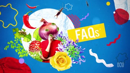 Gardening Australia 2024 Episode 35