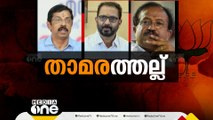 പാലക്കാട്, ബിജെപിയുടെ തോൽവിയുടെ ഉത്തരവാദിത്തം ആർക്ക്?; കെ. സുരേന്ദ്രനെതിരെ പടപ്പുറപ്പാട്