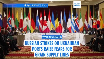 Zelenskyy says 321 port facilities damaged in strikes raising fears for grain exports