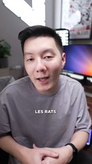 Offres Black Friday : Zhiyun X60 et M20C, le duo de lumières compactes à prix imbattables 🎥