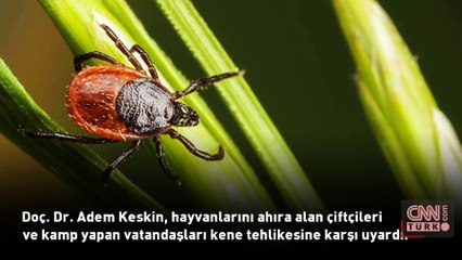 24 Kasım 2024 günün öne çıkan sağlık haberleri...