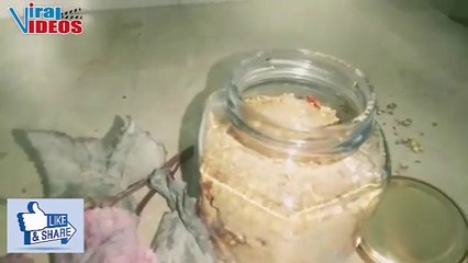 Homemade Dahi Bara Masala Recipe (Quick & Easy)