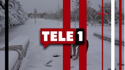 Kar sevincinin böylesi görülmedi: Soyunup karların içine yattı!