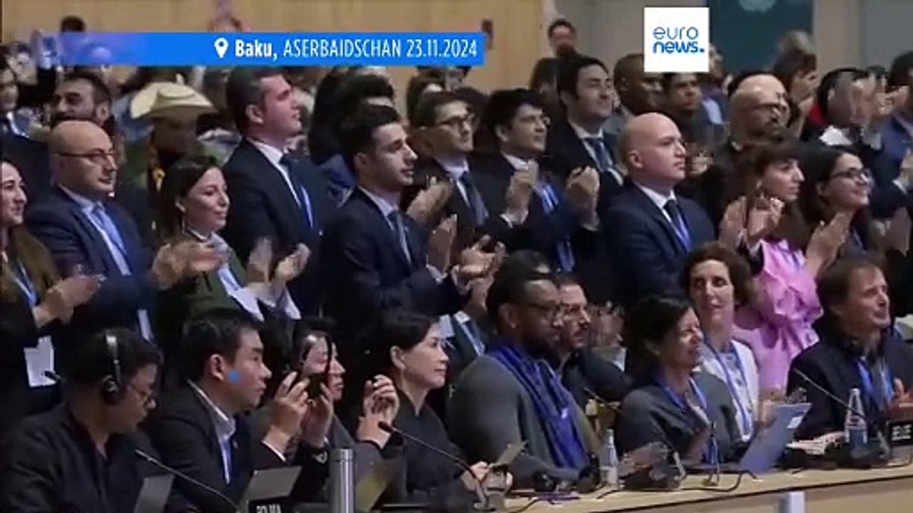 COP29 endet mit Vereinbarung über 300 Mrd. Dollar für Entwicklungsländer