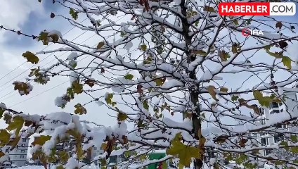 Bolu'da Kar Kalınlığı 30 Santimetreye Ulaşıldı