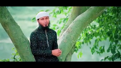 ও প্রভূ আমাকে দাওনা ডানা | আমারি মনেতে আছে যে মাদীনা | Abdul Ohab Islamic Nasheed | ওহাবের গজল