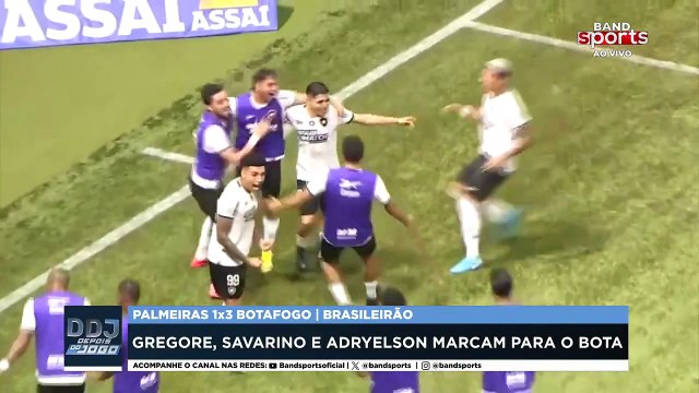 BOTAFOGO VENCE O PALMEIRAS E RETORNA À LIDERANÇA DO CAMPEONATO: JULIO GOMES ANALISA | DEPOIS DO JOGO