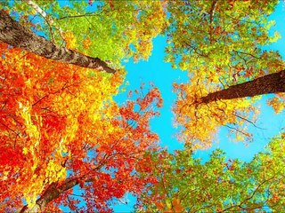 Love Me or Hate Me - thumbnail