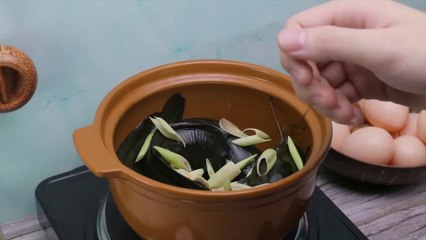 Compilation Of New Action - The KOI Fish Hunting Eggs Experiment Under Unusual Mud