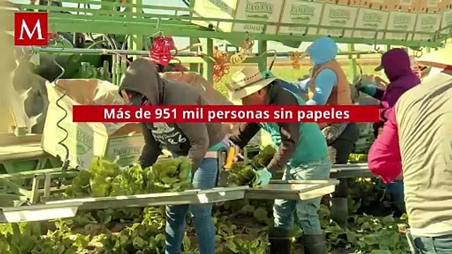 Ciudades Santuario: Refugio y esperanza para migrantes