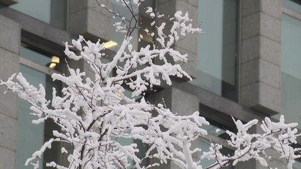 [날씨] 서울 117년 만의 폭설...서울 등 곳곳 '대설특보' / YTN