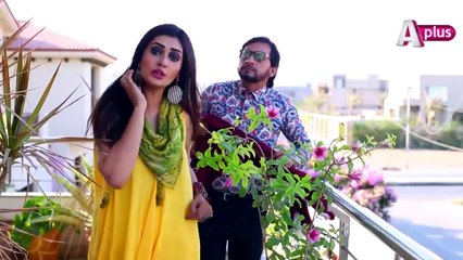 Haseena Moin Ki Kahani EP 1 - Aplus Entertainment