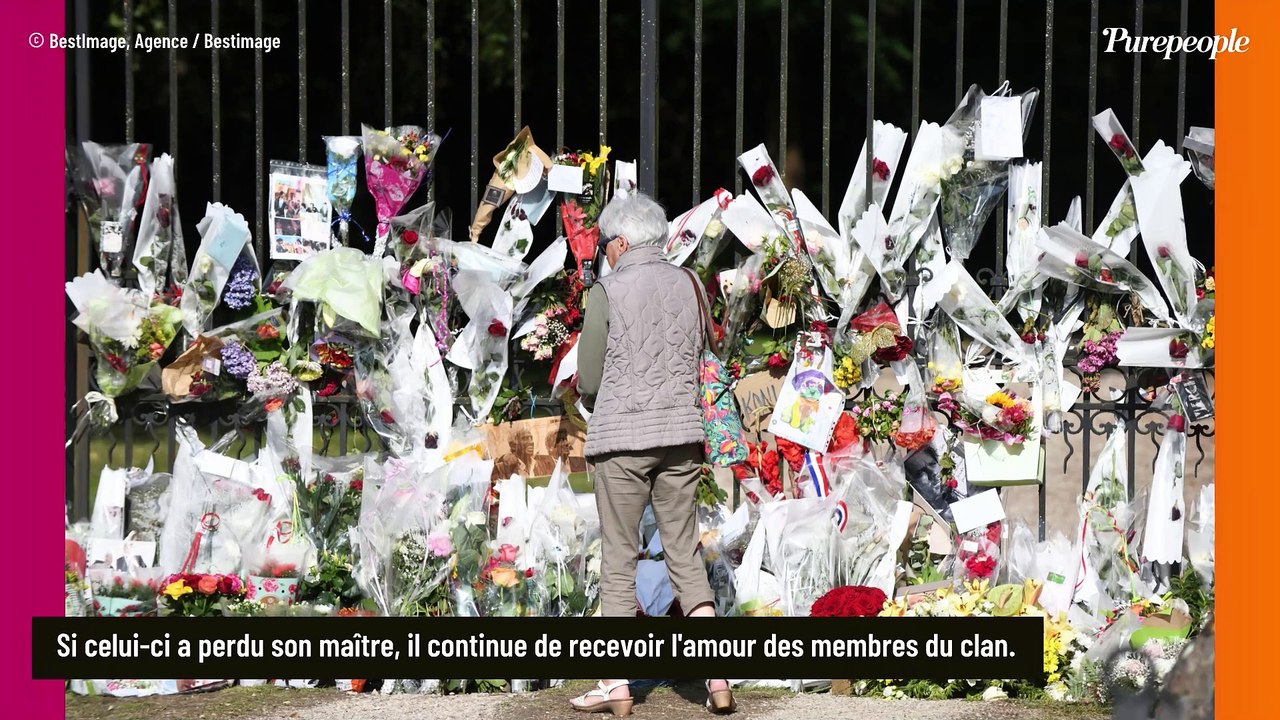 Alain Delon : Sa petite-fille Liv paisible à Douchy, Anthony dévoile de belles images depuis la forteresse