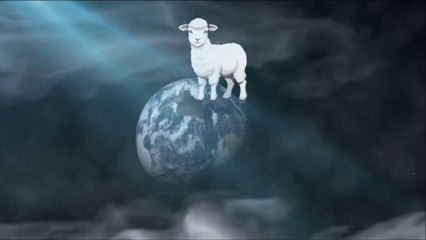 Robert Space  -  Lamb Face