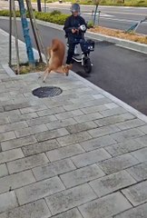 Cute animals #Aniamals #cuteanimls #animal