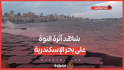 اقتلعت أشجار ومنشآت.. شاهد أثرة النوة على بحر الإسكندرية