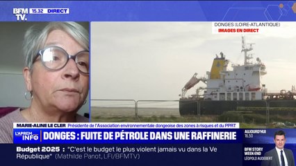 Fuite de pétrole dans la Loire: "Depuis déjà pas mal de temps, les fuites se suivent à un rythme de plus en plus fréquent", s'inquiète Marie-Aline Le Cler (PPRT)