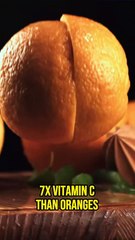 Moringa The Miracle Tree Review