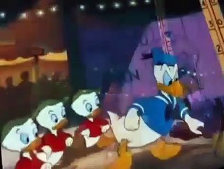 Donald Duck Donald Duck E150 Canvas Back Duck