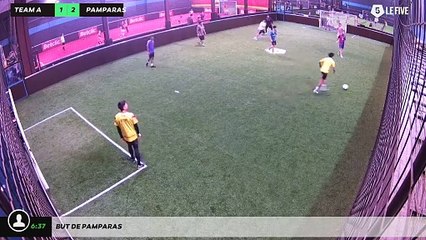 But de pamparas