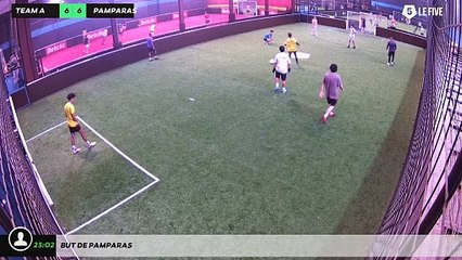 But de pamparas