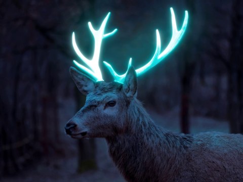 How to Create Glow Effect in Adobe Photoshop | Glow Effect in Photoshop