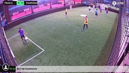 But de pamparas