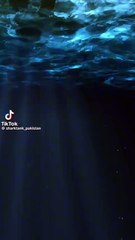 Shark Tank Pakistan Video 7