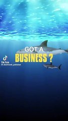 Shark Tank Pakistan Video 9