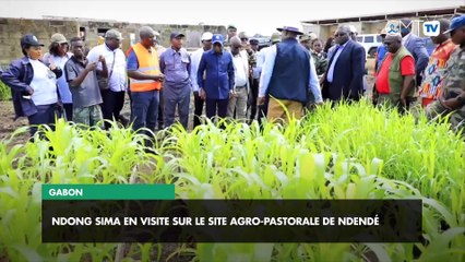 [#Reportage] Ndong Sima en visite sur le site agro-pastorale de Ndéndé