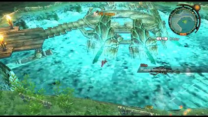 Xenoblade Chronicles online multiplayer - wii