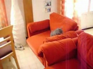 m&m's qui fait sont petit tour