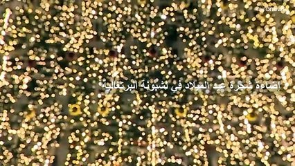 شاهد إضاءة شجرة عيد الميلاد العملاقة في لشبونة ومليونا مصباح كهربائي لإنارة شوارع العاصمة البرتغالية