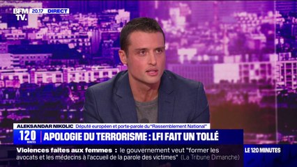Projet LFI d'abroger le délit d'apologie du terrorisme: "C'est cracher sur les centaines de personnes qui ont perdu la vie", s'indigne Aleksandar Nikolic (RN)