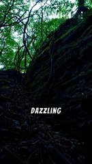 the-lost-melody-of-elara.mp4_1732460866176