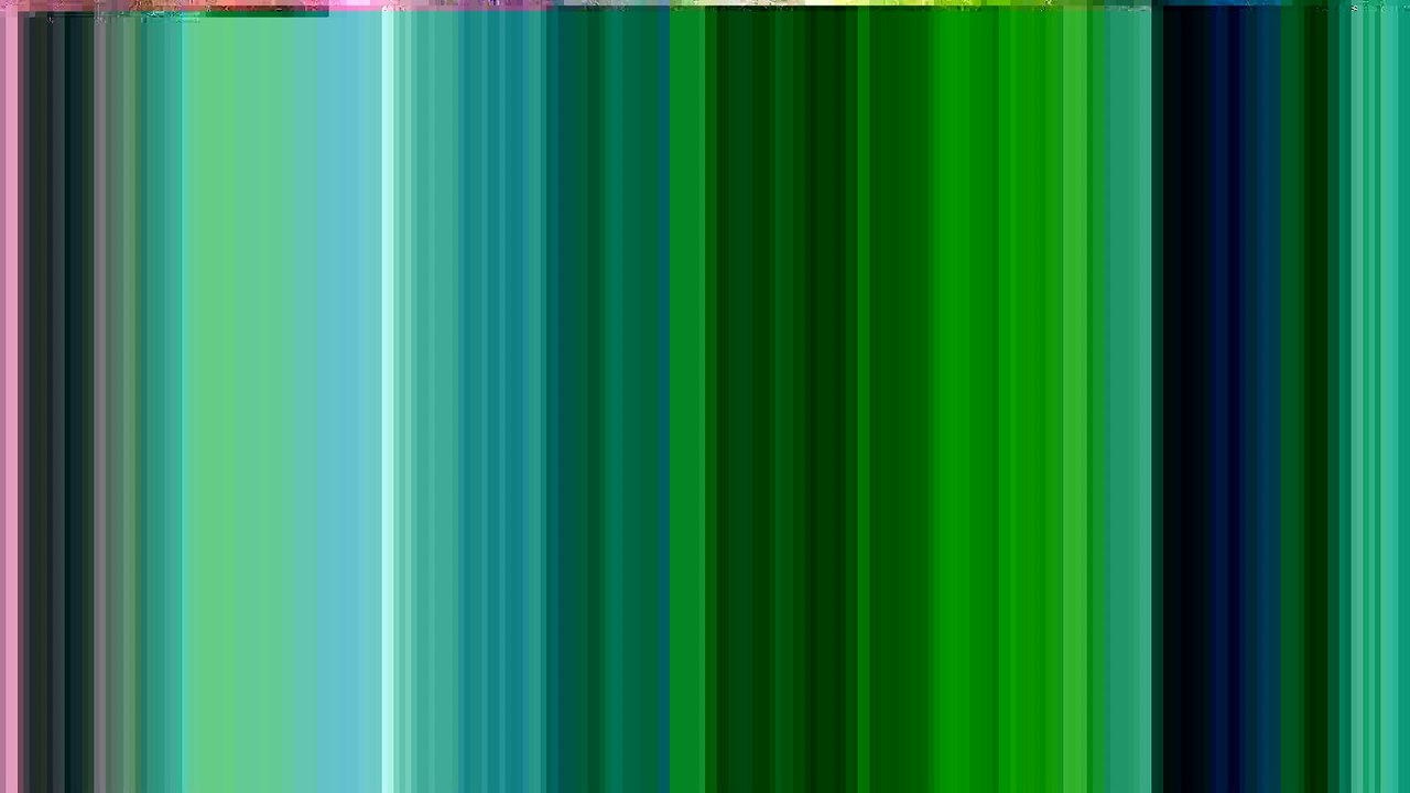 Chasse aux lapins en Corse