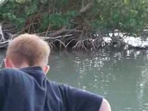 Guadeloupe - 16/04/2008 - Journée à Petit-Canal