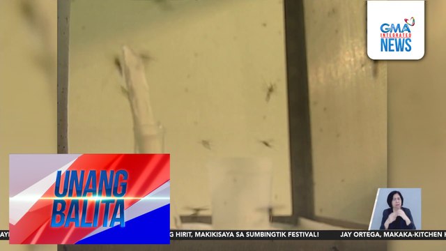 City Health Office – Dasmariñas, Cavite, isinailalim sa state of calamity dahil sa dengue cases na mahigit 1,100 na | Unang Balita