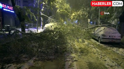 Malatya'da Yoğun Kar Ağaç Dallarını Kırdı, Araçlar Zarar Gördü