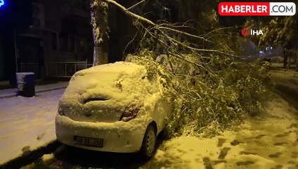 Malatya'da Yoğun Kar Ağaç Dallarını Kırdı, Araçlar Zarar Gördü