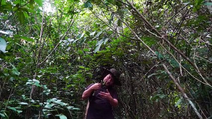 EP.209 - Eu tenho dor de estômago! Encontre uma cura com ervas naturais