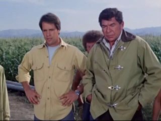 Mörderspinnen 1977 VHS William Shatner Film Deutsch