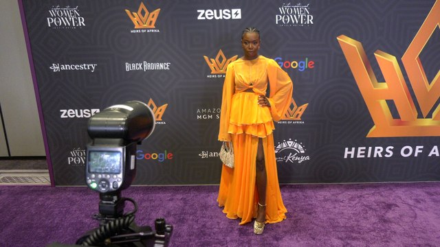Folake Olowofoyeku Heirs Of Afrika 7th Annual International Women of Power Awards Purple Carpet