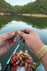 Mancing Asyik dengan Kurma, Bikin Hobi Mancing Lebih Seru! 🎣